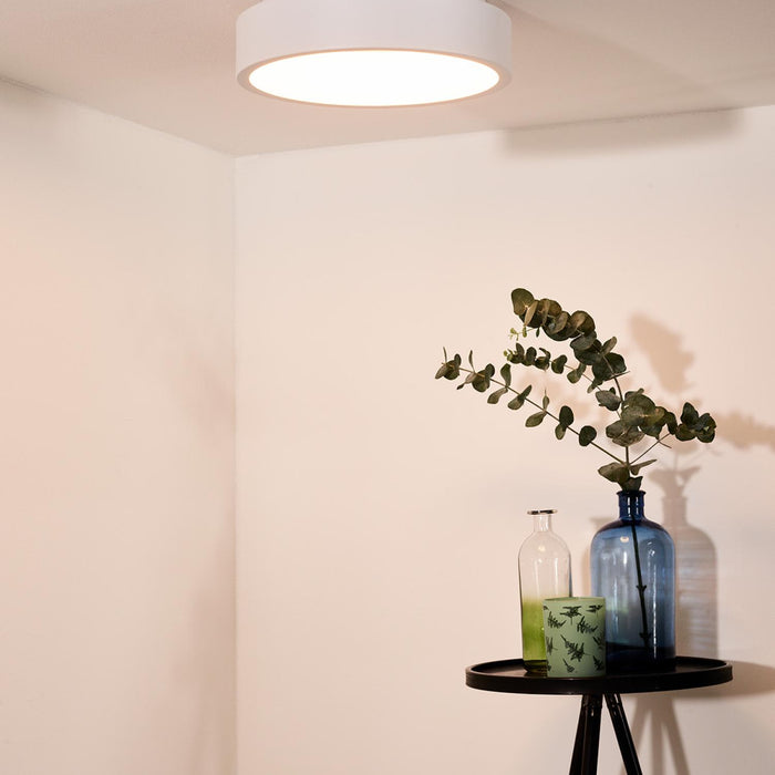 ec6e465d-b499-4b53-8be6-43313db5423c-afbeelding4.jpg (2065446) 