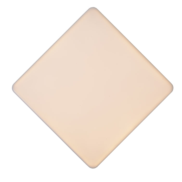 786ab8fd-79a5-4780-9ba8-c5b7c5b3a08a-afbeelding5.jpg (2125534) 