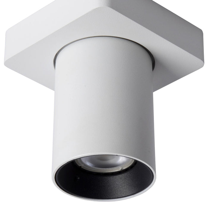 86e0d250-9637-46fd-984a-f8ac33a8970f-afbeelding3.jpg (2129419) 