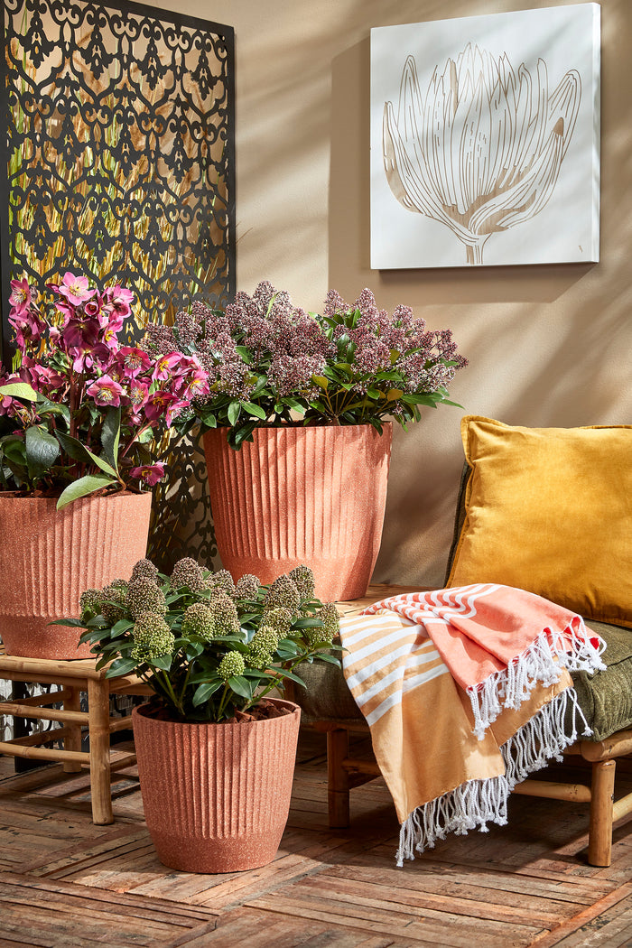 In the Mood Collection Hamamdoek - L180 x B130 cm - Geel