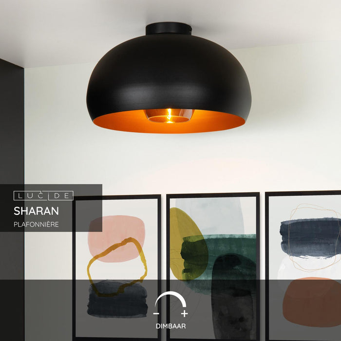 e95a931c-f08e-4e43-818f-f64f26c83bc1-sfeerbeeld.jpg (2237911) 