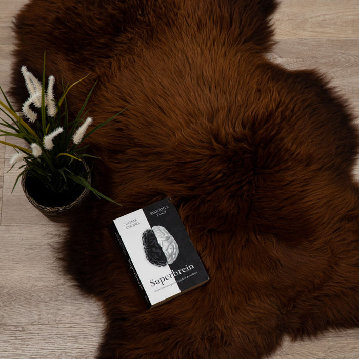 7e546e8b-855f-4477-9a33-33efa2ecdd43-afbeelding3.jpg (2256867) 