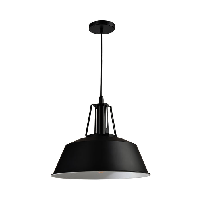 QUVIO Hanglamp zwart - QUV5079L-BLACK