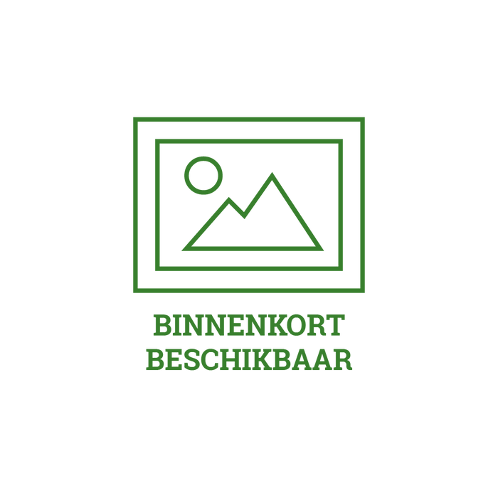 Today Palletkussen Kerala Cactus Groen - 120 x 80cm