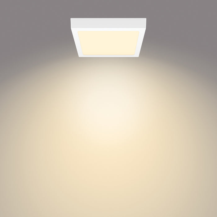 f9ae3fa1-8a22-46ba-a7a8-edb68718a396-afbeelding5.jpg (2278300) 