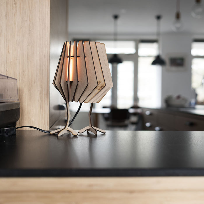 Van Tjalle en Jasper Chicken Pootjes voor Minispot