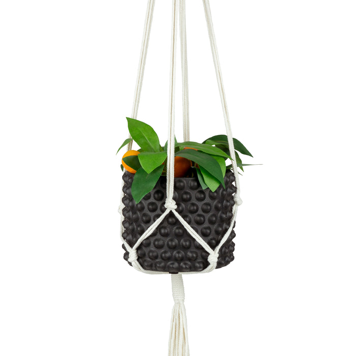 024b93d8-1269-4992-ab5d-3fdacfa39039-afbeelding5.jpg (2325451) 