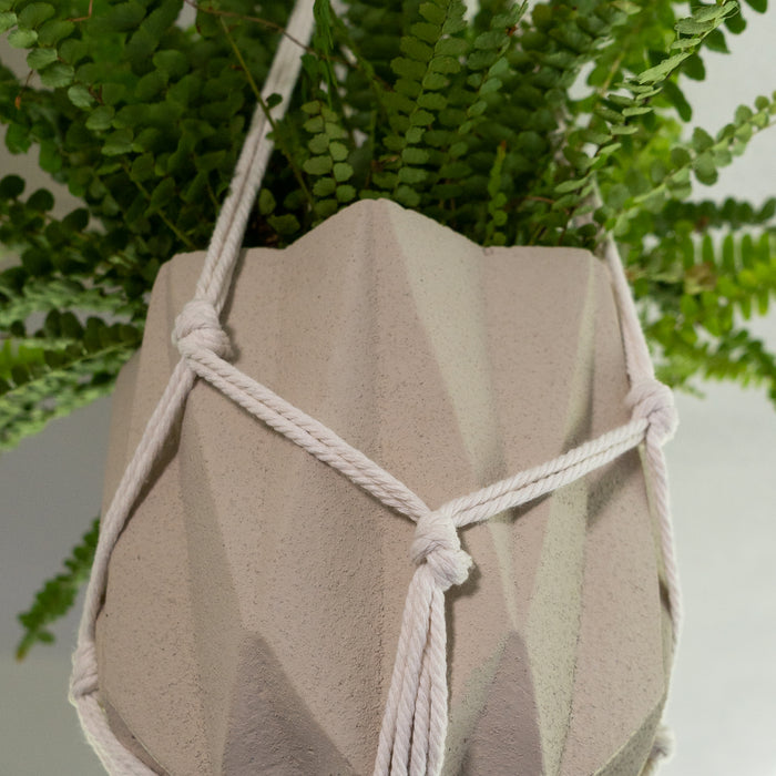 024b93d8-1269-4992-ab5d-3fdacfa39039-sfeerbeeld.jpg (2325454) 