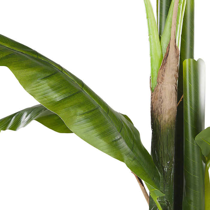 bdc5f45e-3e35-4ce0-a504-63f9b38dc61b-afbeelding7.jpg (2329293) 