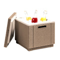 Allibert Ice Cube Koelbox & Bijzettafel