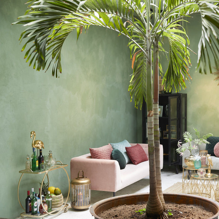 229397-x1.jpg (2356391) 