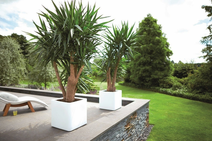 Elho Pure Soft Brick Plantenbak met Wielen 40 x 40 cm - Wit