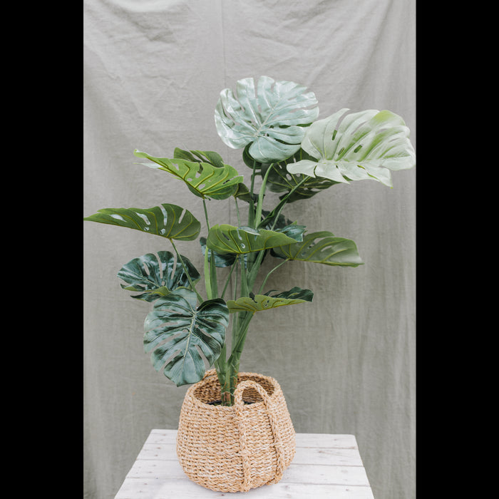 dacf32f5-7214-4d4e-a13d-f5119c78c4bf-afbeelding4.jpg (2366574) 