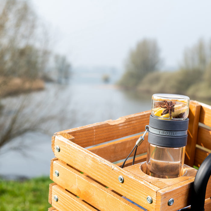 T-BOTTLE Theebeker 0,3 L
