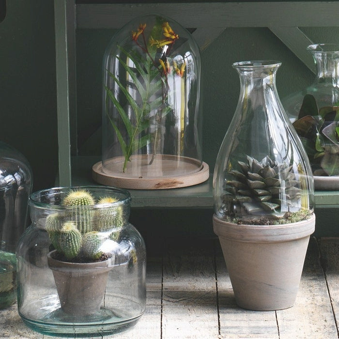 256425-2.jpg (2433933) 