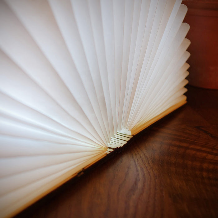 Gingko Smart LED Book Light Mini Lamp