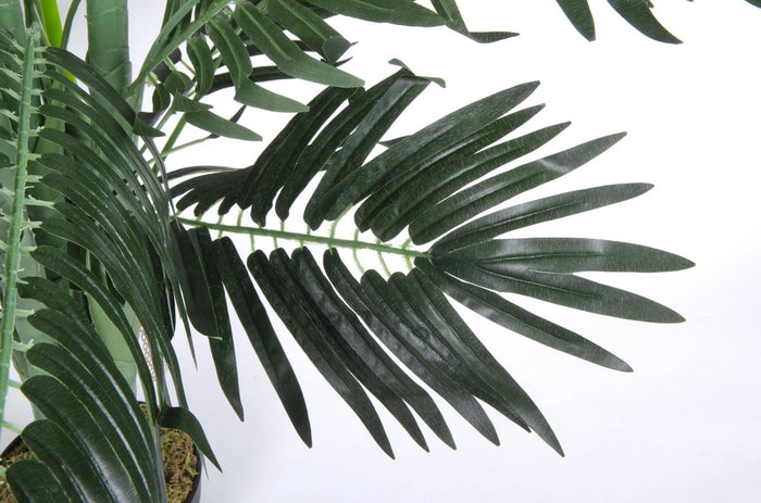 78869849-0d48-4f7a-ac3e-30419ce83eeb-afbeelding4.jpg (2497333) 