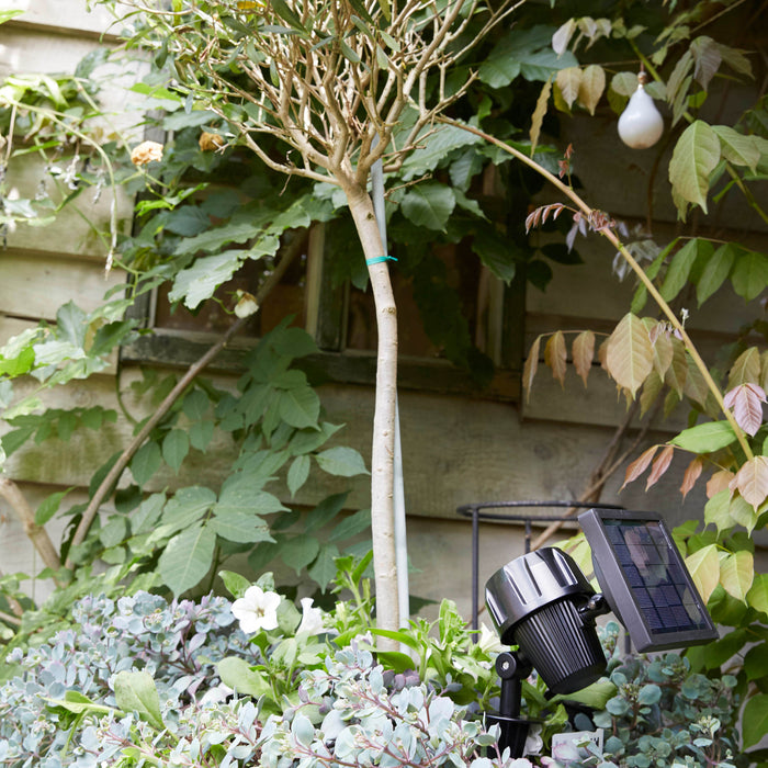 Luxform Lupi Intelligent Solar Spieslamp