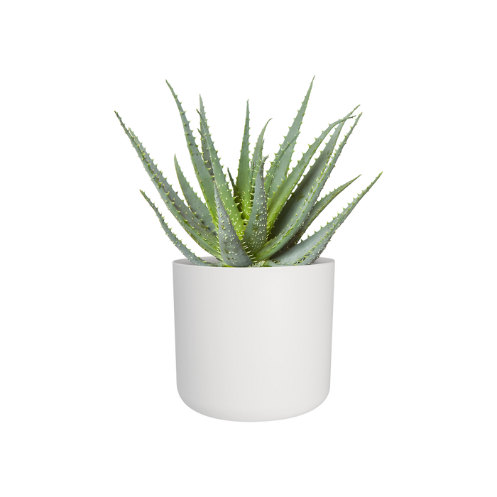 217459-2.png (2526922) 
