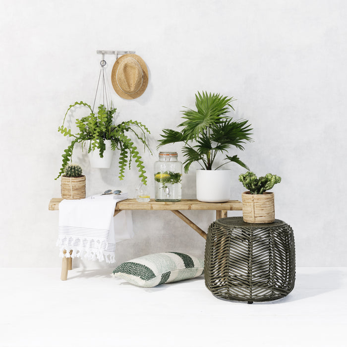 Elho B.For Soft Bloempot Rond 22 cm