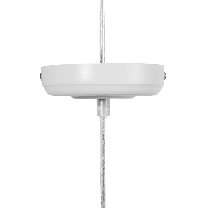 0c121043-1f96-4998-99d1-1e928b4ebc6d-afbeelding10.jpg (2544099) 