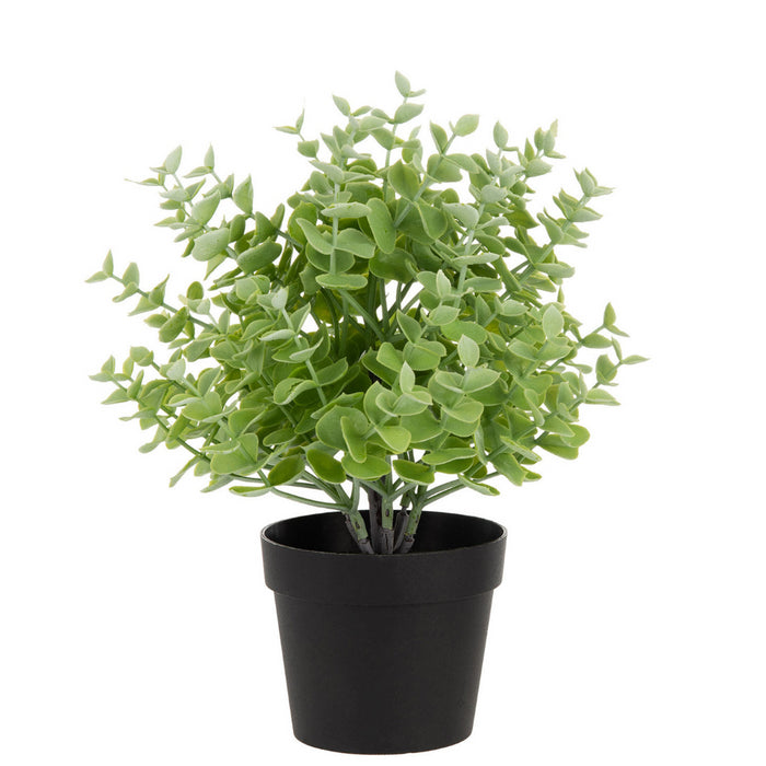 4db981d0-3181-4813-93c8-2d2d25223fbf-sfeerbeeld.jpg (2548441) 