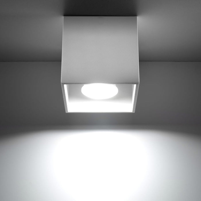 7725b2c6-d7ba-4b20-9070-47dcae1299f8-afbeelding3.jpg (2580037) 