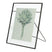 MOOS Mace Fotolijst 13 x 18 cm