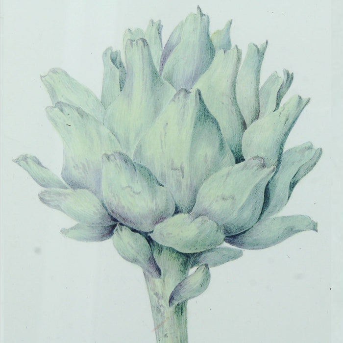 MOOS Mace Fotolijst 13 x 18 cm