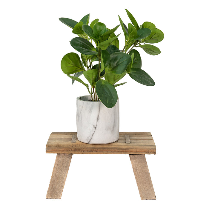 883d0417-cec2-42ba-b504-f14158d8d705-afbeelding12.jpg (2603862) 