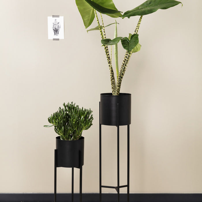 294513-x04.jpg (2611366) 