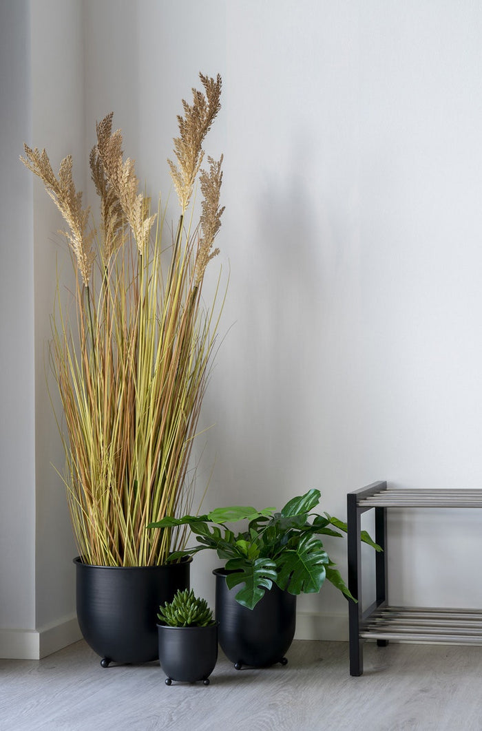 de53a940-1c65-4147-9bec-9fdcacbd065b-afbeelding4.jpg (2621120) 