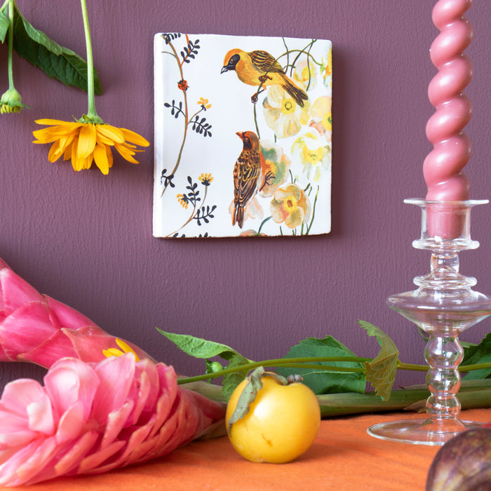 308484-x01.jpg (2641868) 