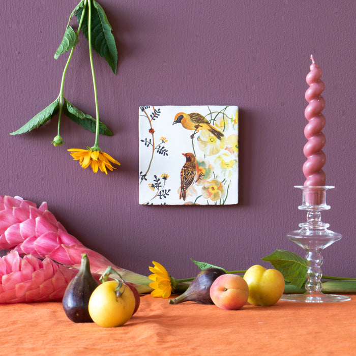 308484-x02.jpg (2641870) 