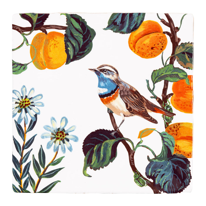 308486-x00.jpg (2652672) 