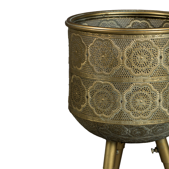 274521-x02.jpg (2655400) 