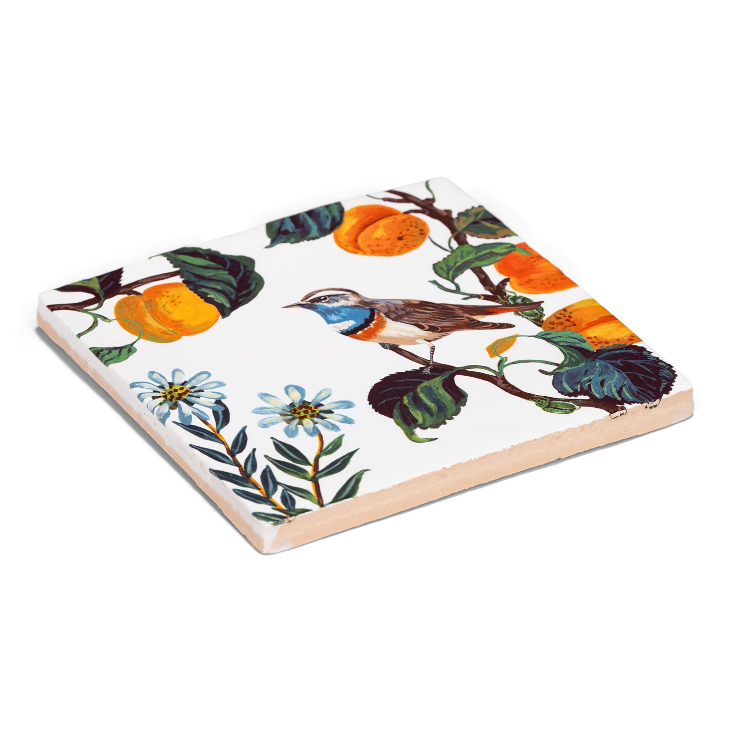 308487-x03.jpg (2658059) 