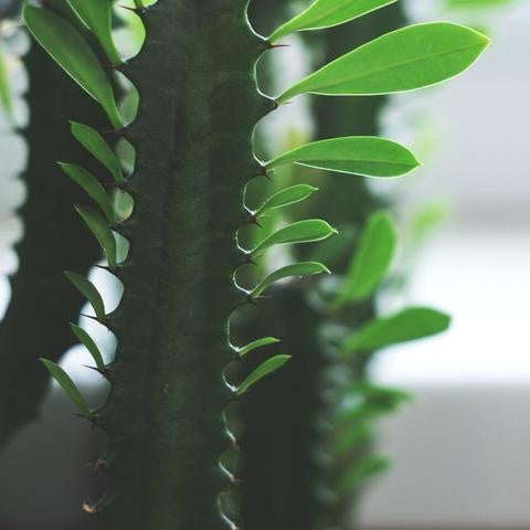 392a0d21-eba9-428b-9007-74553dedf850-sfeerbeeld.jpg (2691350) 