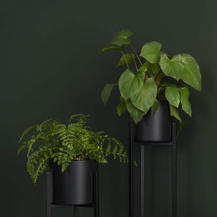 QUVIO Plantenstandaard inclusief pot - 22x22x60 cm - Zwart - S