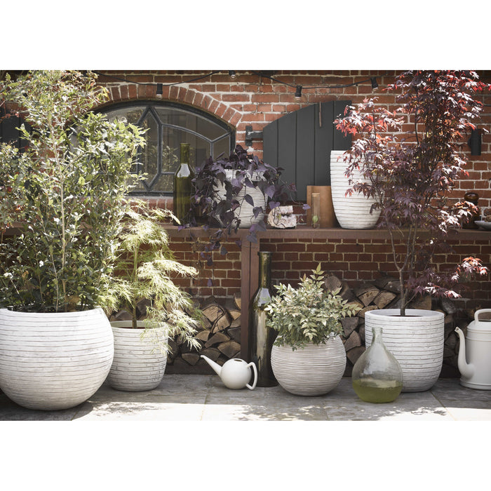 Capi Europe Nature Row Egg Planter Bloempot 43 cm