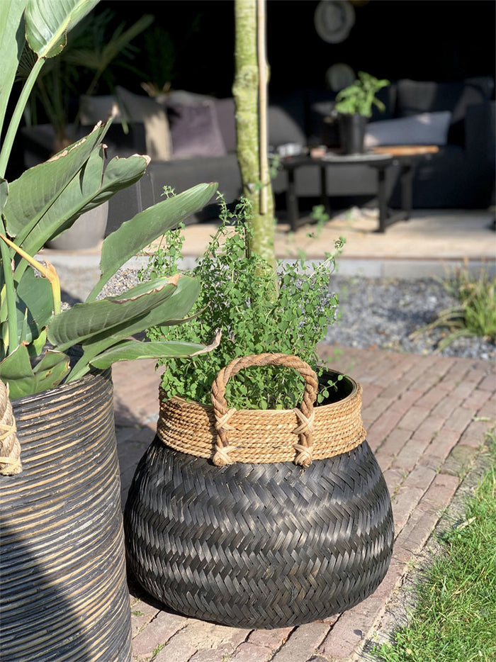 6439d894-426d-4793-a533-c4d8b5f5042b-afbeelding3.jpg (2719451) 