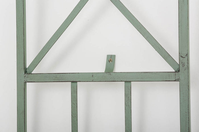 CLP Plantenklimrek Trigo