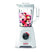 Tefal BL4201 Blendforce II Blender
