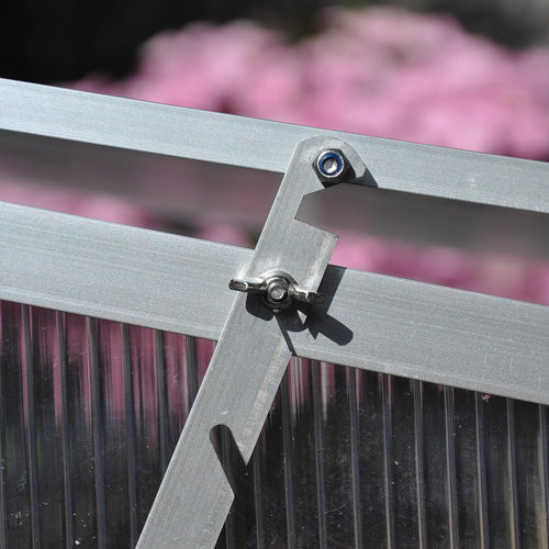 Royal Well Broeikas Viola