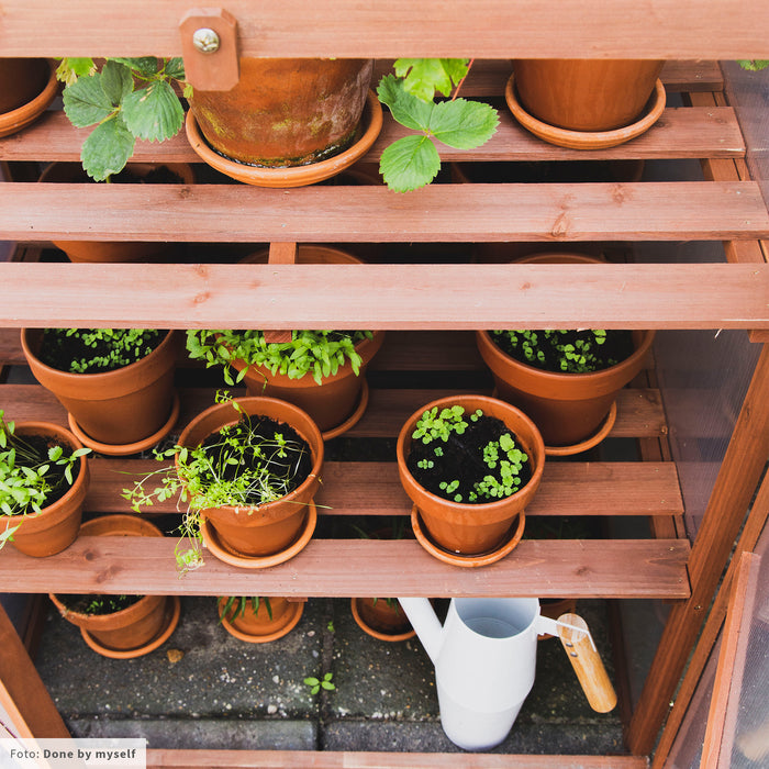 Royal Well Patiokas Rosemary's Choice