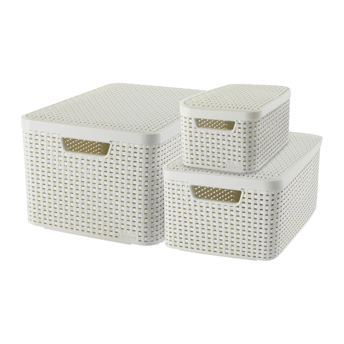 245547-x0.jpg (2769776) 