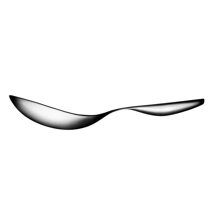 Iittala Collective Tools Dienlepel groot