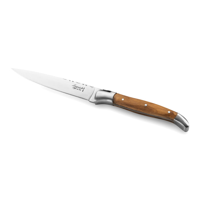 Laguiole Style de Vie Messenset 5-delig met Magnetisch Messenblok