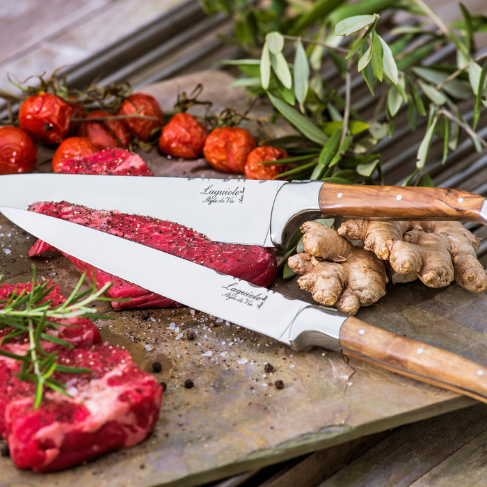 Laguiole Style de Vie Messenset 5-delig met Magnetisch Messenblok