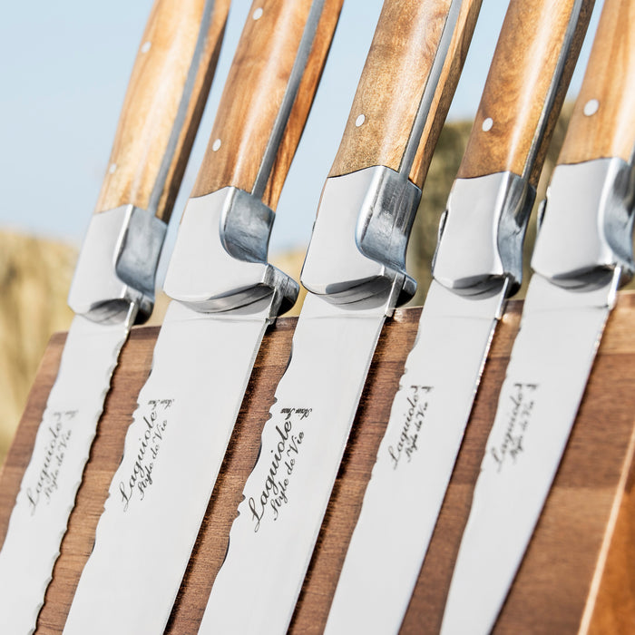 Laguiole Style de Vie Messenset 5-delig met Magnetisch Messenblok